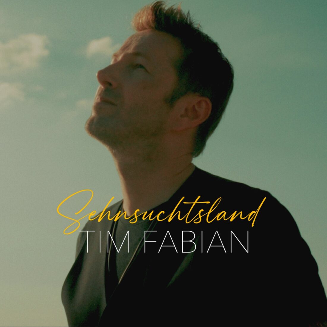 TIM FABIAN - Sehnsuchtsland (AVA Music Entertainment Germany)